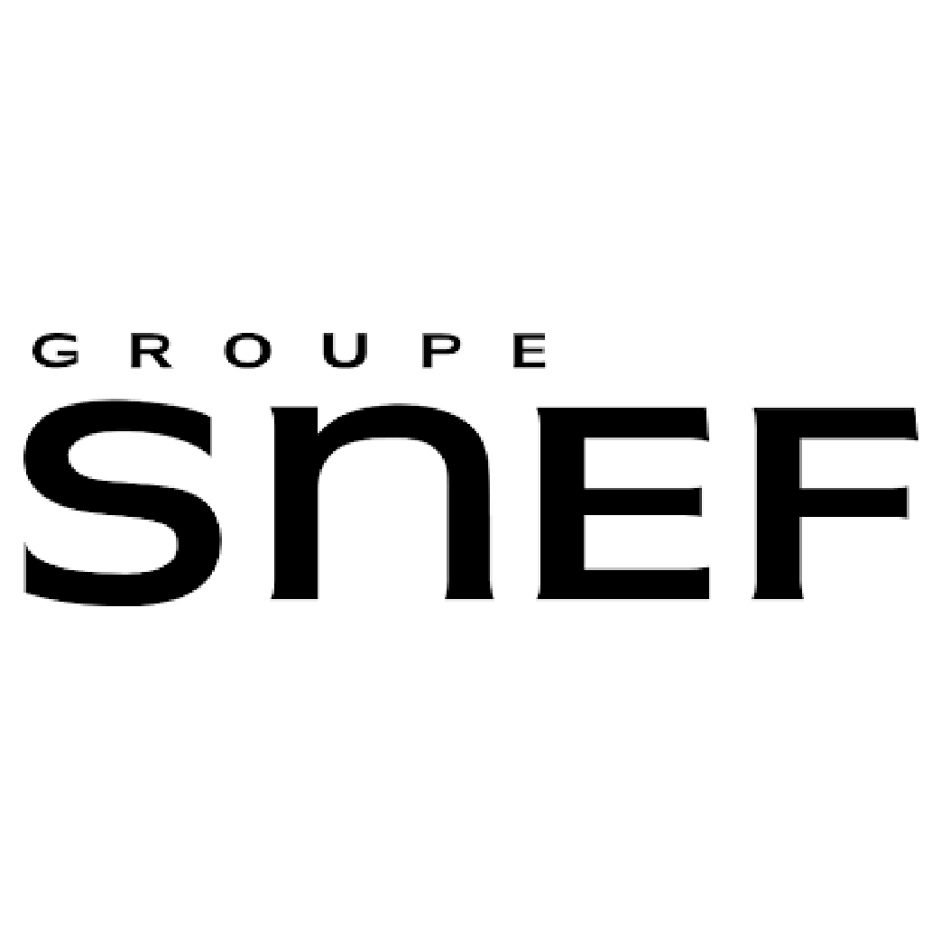 Logo Groupe SNEF